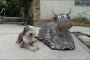 Bretagne (21)