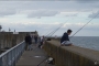 Bretagne (3)