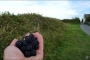 Bretagne (39)