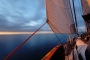 DSC03539-1